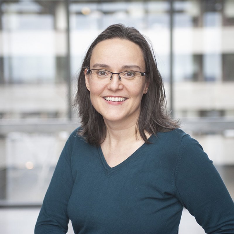 Inge De Prins